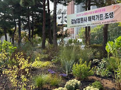 2026년 강남정원사 양성교육 프로그램 참여자 모집(4기) 사진