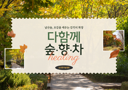 (토)다함께 숲향차 사진