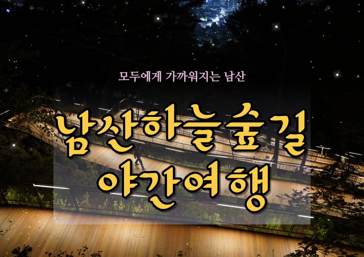 (수)남산하늘숲길 야간여행