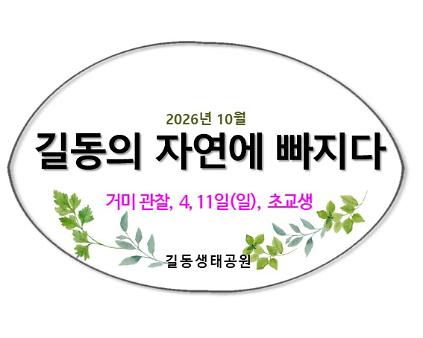2026길동의 자연에 빠지다(10월, 거미) 사진