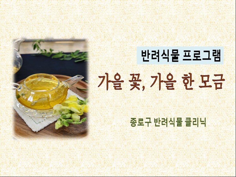 가을 꽃, 가을 한 모금