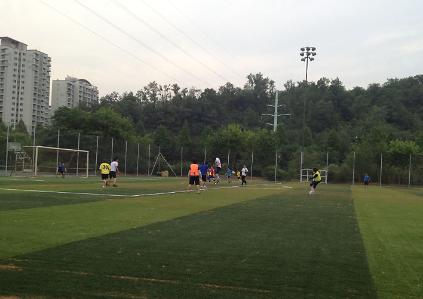 ■ [토/공휴일] 마포 난지천 인조잔디 축구장 사진