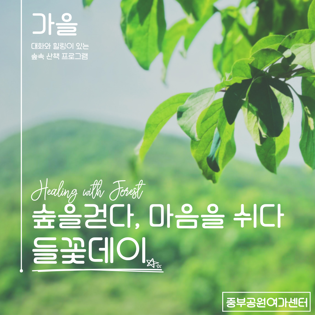 숲을 걷다 마음을 쉬다〔들꽃데이〕