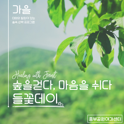 숲을 걷다 마음을 쉬다〔들꽃데이〕 사진