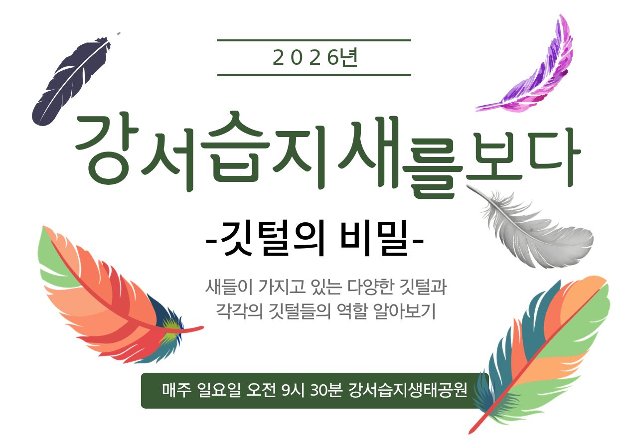 [강서습지] 강서습지 새를 보다 -깃털의 비밀-