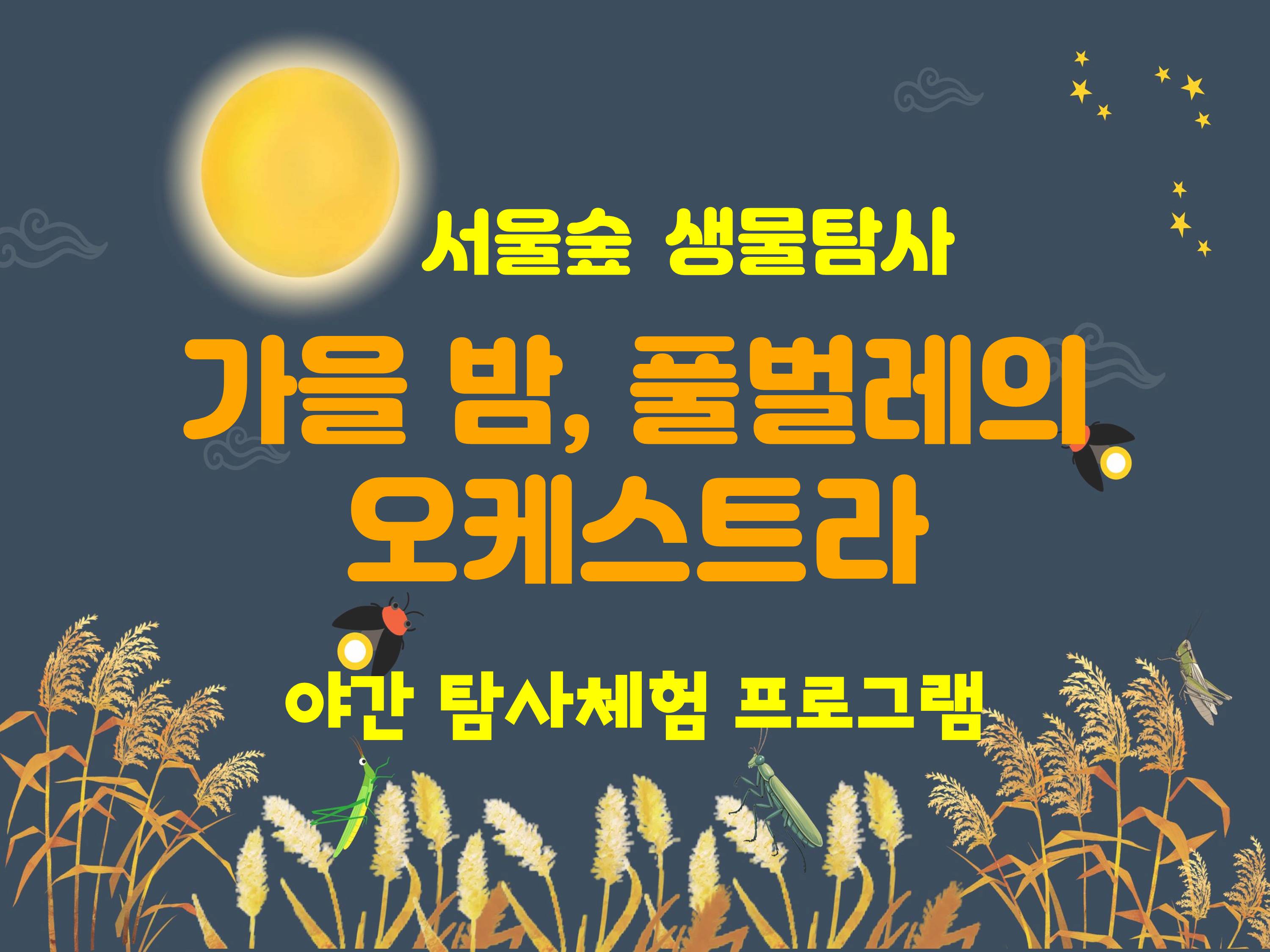 [서울숲] 가을밤, 풀벌레의 오케스트라 (10월) - 수 (야간)