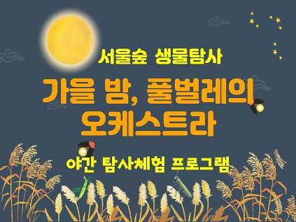 [서울숲] 가을밤, 풀벌레의 오케스트라 (10월) - 수 (야간) 사진