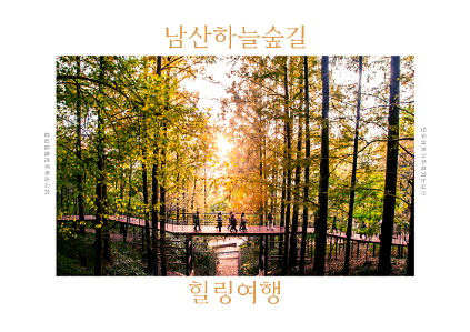 (수)남산하늘숲길 힐링여행 사진