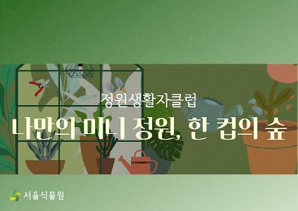 [서울식물원/목요일/10월/성인] 숲문화학교: 나만의 미니정원_한컵의 숲 사진