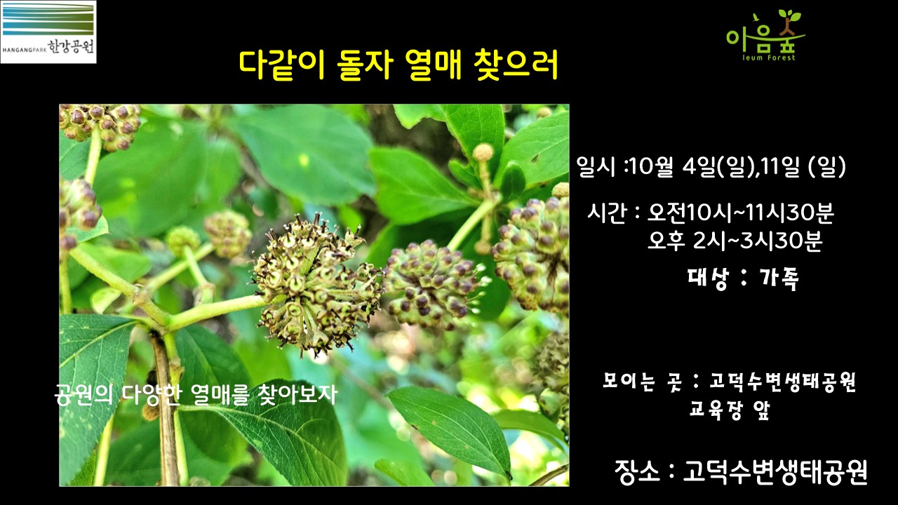 (고덕)(일)다같이 돌자 열매 찾으러