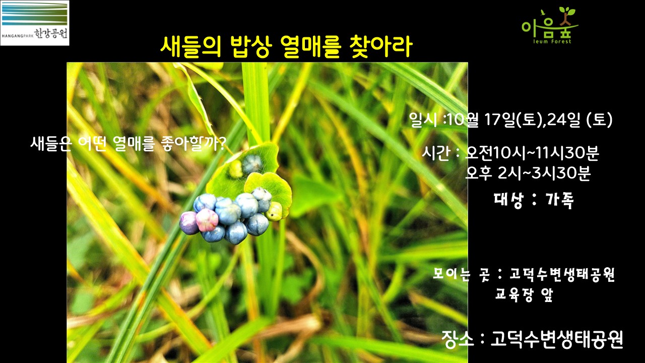 (고덕)(토)새들의 밥상 열매를 찾아라