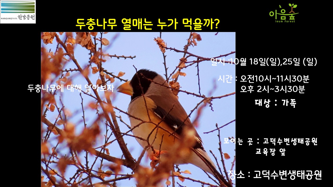 (고덕)(일)두충나무 열매는 누가 먹을까?