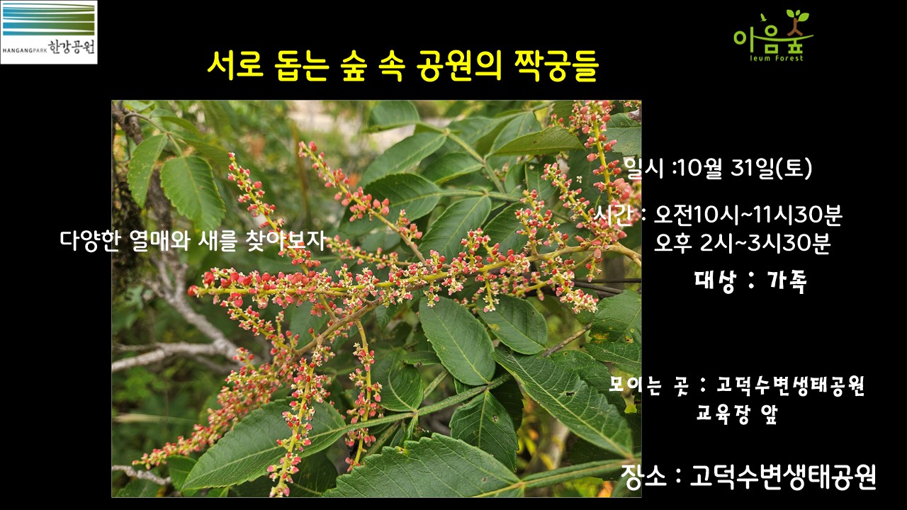 (고덕)(토)서로 돕는 숲속 공원의 짝꿍들