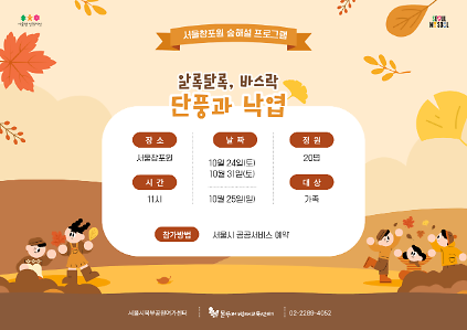 (토,일)알록달록, 바스락 단풍과 낙엽 사진