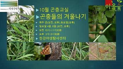 (한강야생탐사센터/특화)(금,토,일) 10월의 곤충교실 사진