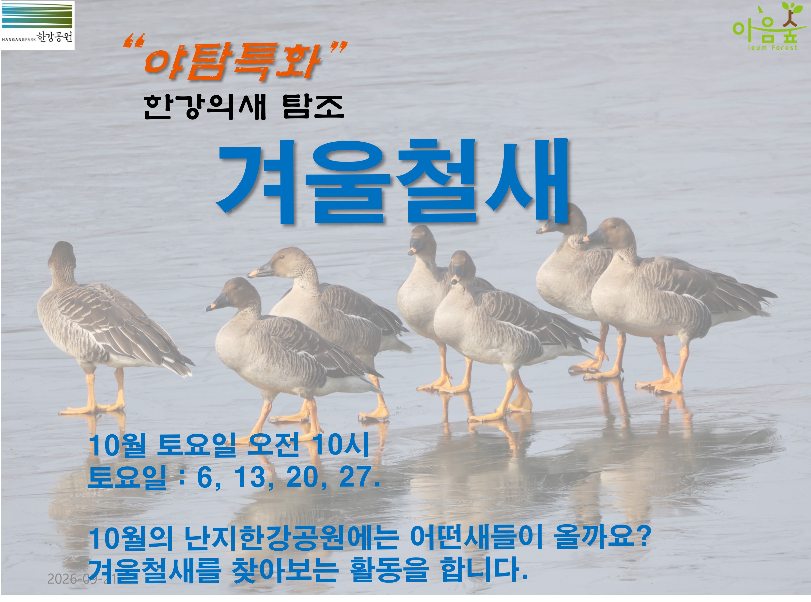 (한강야생탐사센터/특화)(토) 여름철새