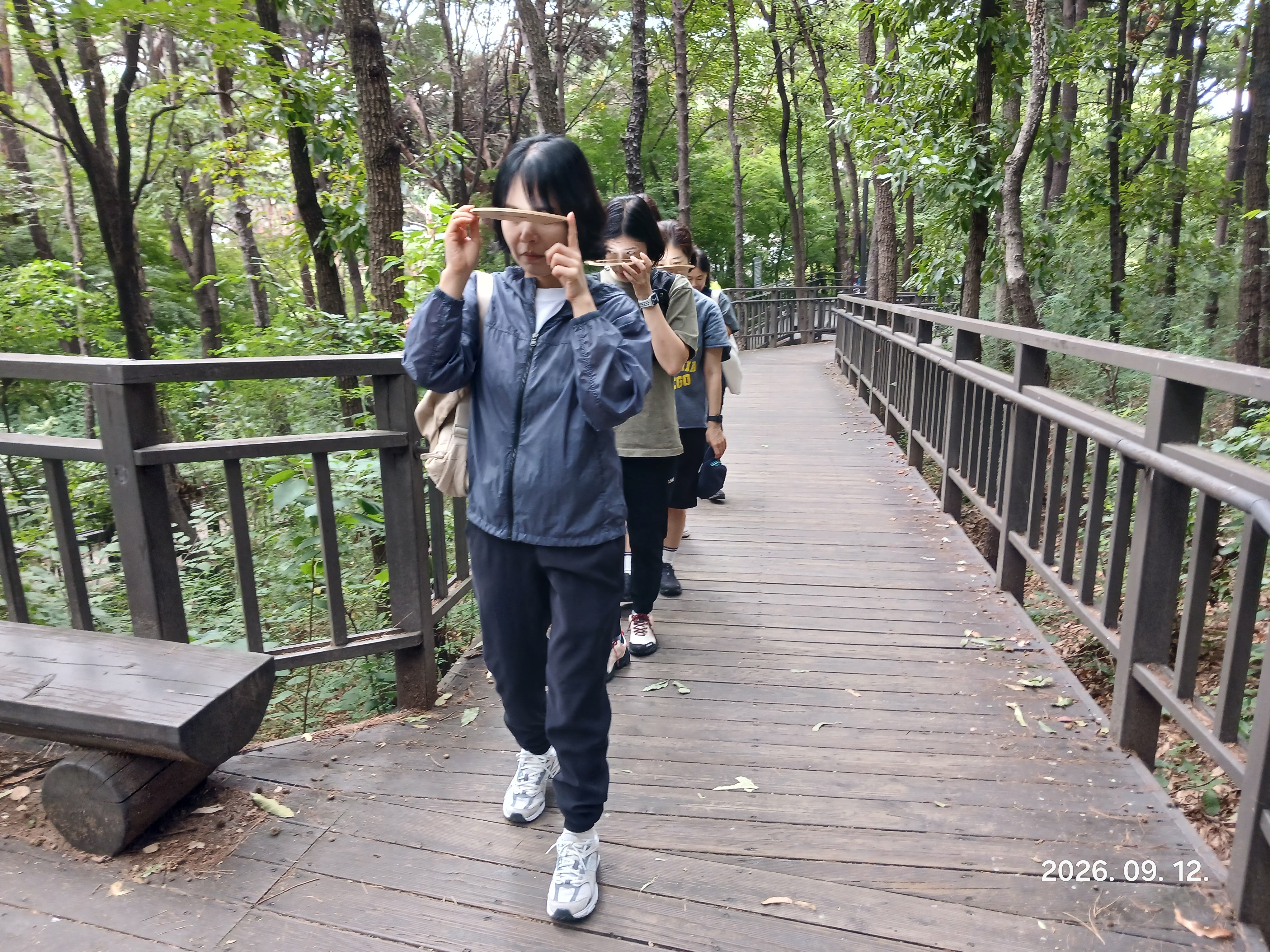 (토)마포구숲해설 매봉산 풀무골 숲테라피 
