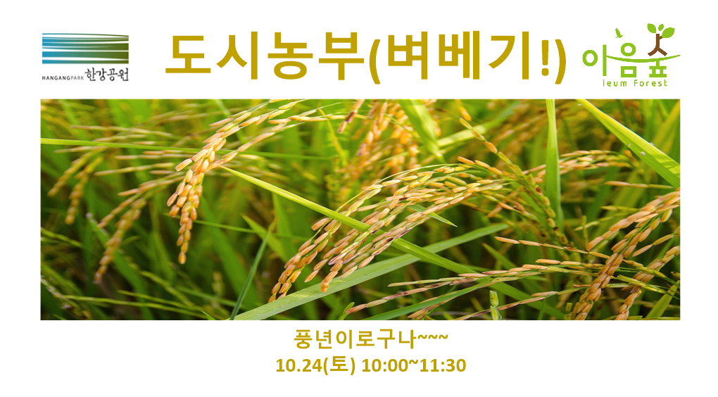 (난지생태습지원/특화) 도시농부(벼베기)