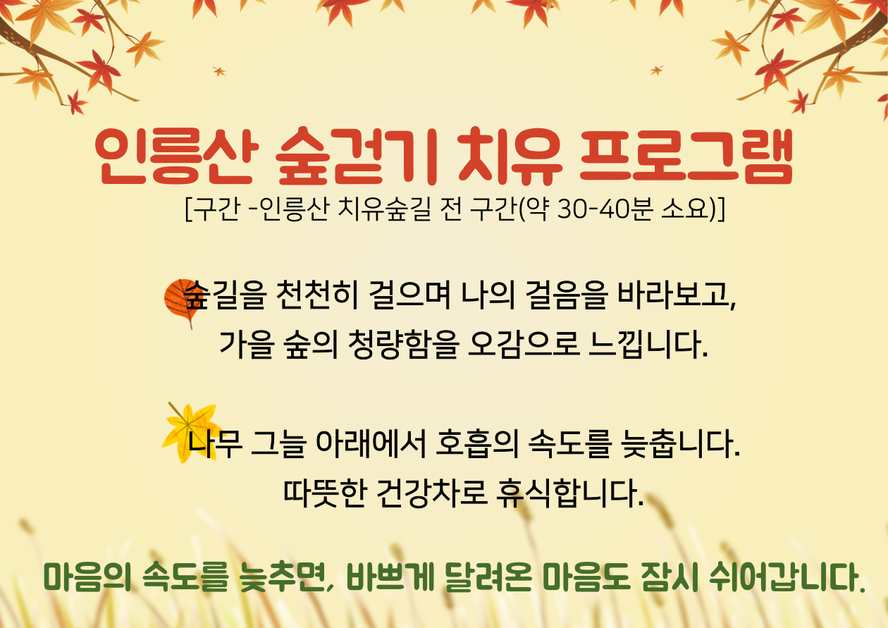 [서초구] 인릉산 치유의 숲 길_가을 프로그램(숲 걷기)