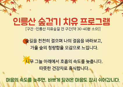 [서초구] 인릉산 치유의 숲 길_가을 프로그램(숲 걷기) 사진