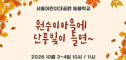 [10.3~10.4] 원숭이마을에 단풍빛이 들면 사진