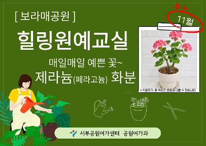 [보라매공원] 힐링원예교실(11월) 사진