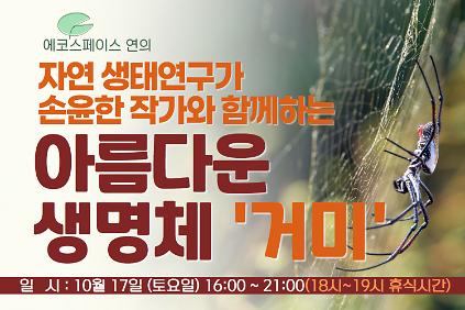［10월(토)］연의 아름다운 생명체 '거미' 사진