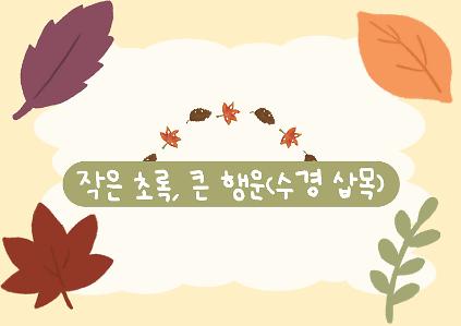 [초안산가드닝센터][가든위크]이웃정원사와 함께하는 가든페스타_수경 삽목 사진