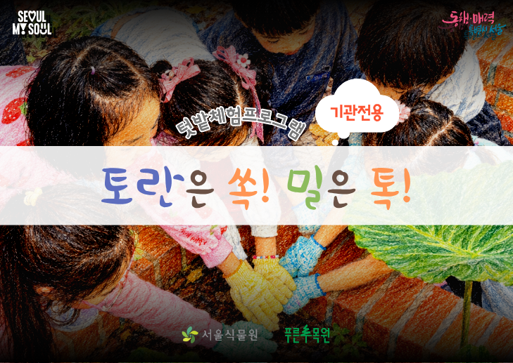 (기관전용) 토란은 쏙쏙! 밀은 톡톡!