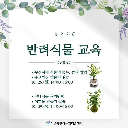 2026년 반려식물 교육(수경재배, 실내식물) 사진