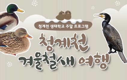 (토)[청계천 생태학교]청계천 겨울철새 여행 사진