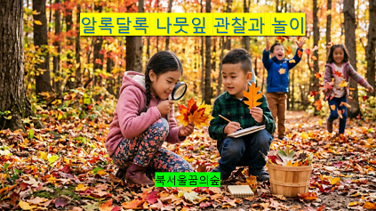 (토, 일) 알록달록 나뭇잎 관찰과 놀이  사진
