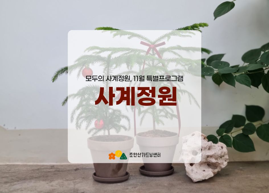 [초안산가드닝센터][주말][토요일]11월/가드닝/모두의사계정원
