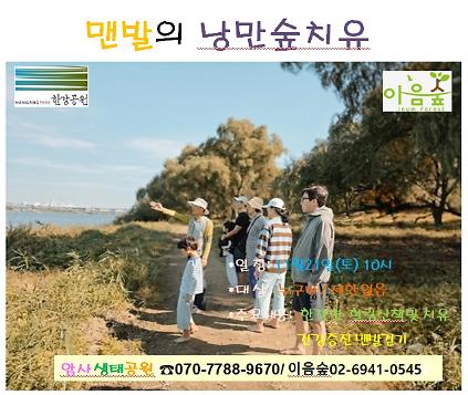 맨발의 낭만길 숲치유 사진