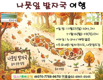 나뭇잎 발자국여행 사진