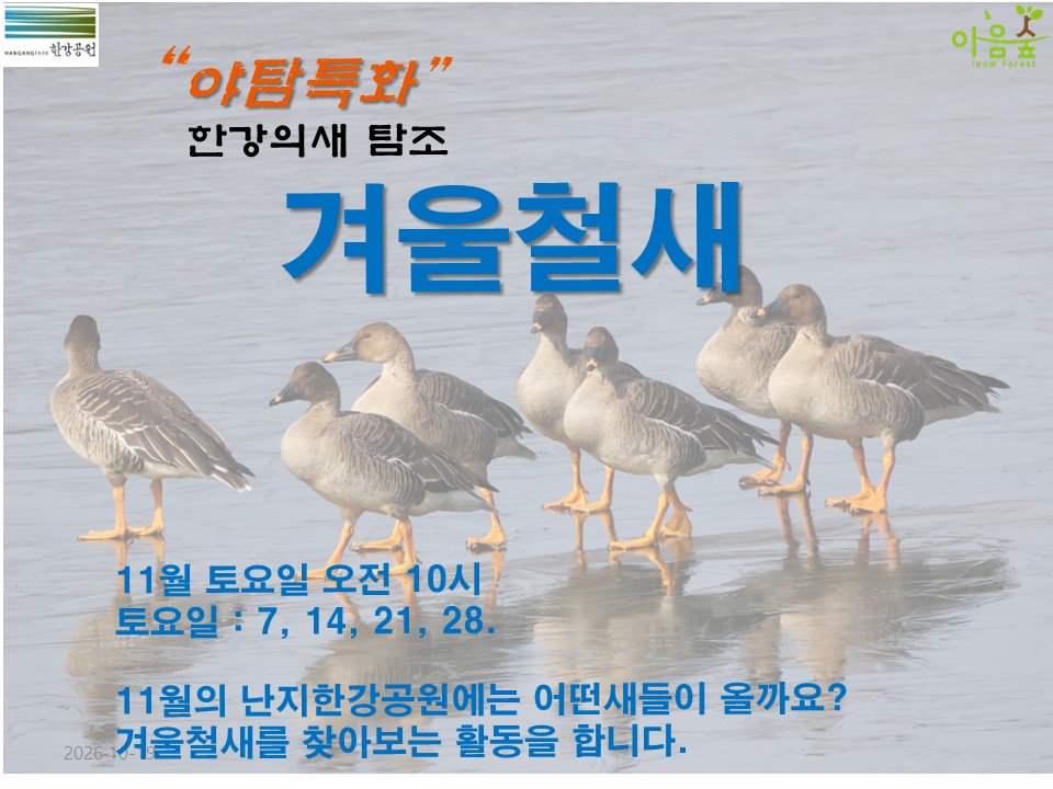 (한강야생탐사센터/특화)(토) 겨울철새