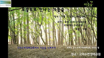 (고덕)(토)오감으로 만나는 가을숲 사진