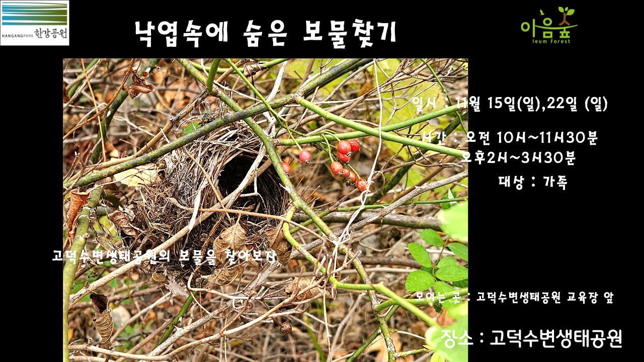 (고덕)(일)낙엽속에 숨은 보물찾기