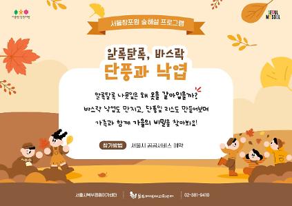 (토)알록달록, 바스락 단풍과 낙엽 사진