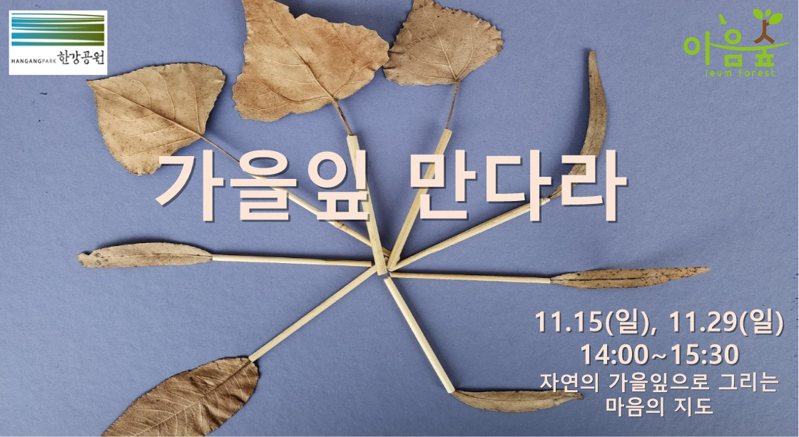 (난지생태습지원/특화) 가을잎 만다라