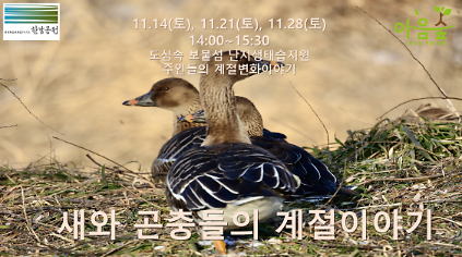 (난지생태습지원/특화) 새와 곤충들의 계절이야기 사진
