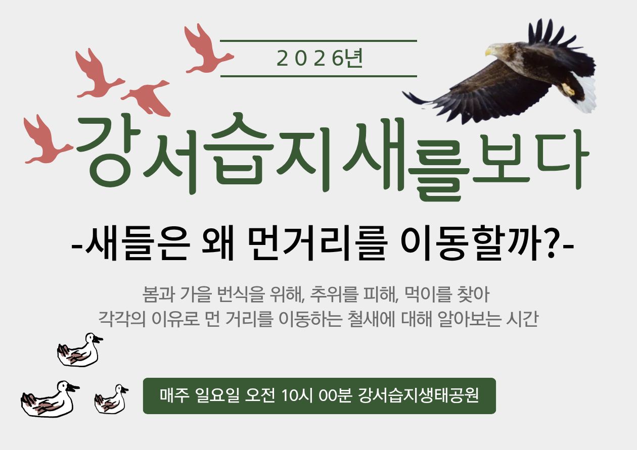 [강서습지] 강서습지 새를 보다 -새들은 왜 먼거리를 이동할까?-