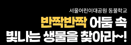 [11.1] 반짝반짝 어둠 속 빛나는 생물을 찾아라! 사진