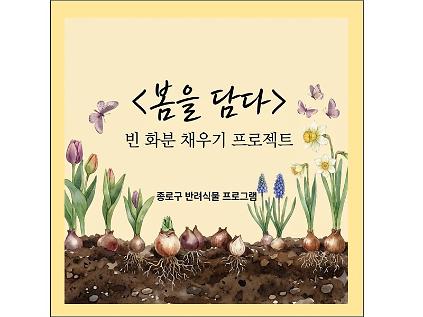 종로구 봄을 담다  사진