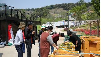 텃밭2.JPG