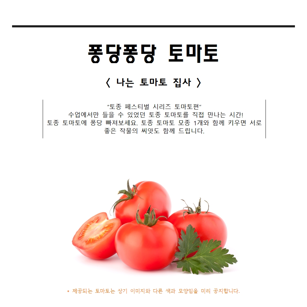 퐁당퐁당 토마토 (구)토마토 퐁당 페스티벌 (본문사진1장)7001.jpg