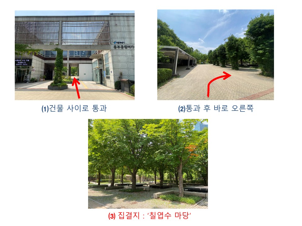 칠엽수마당 오는 길_1.jpg