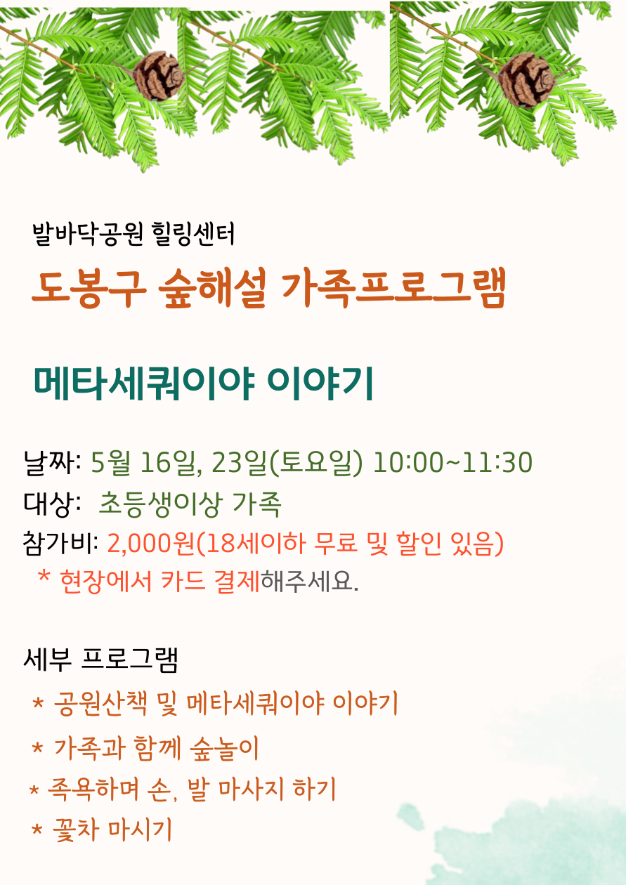 숲해설 토요일02.png