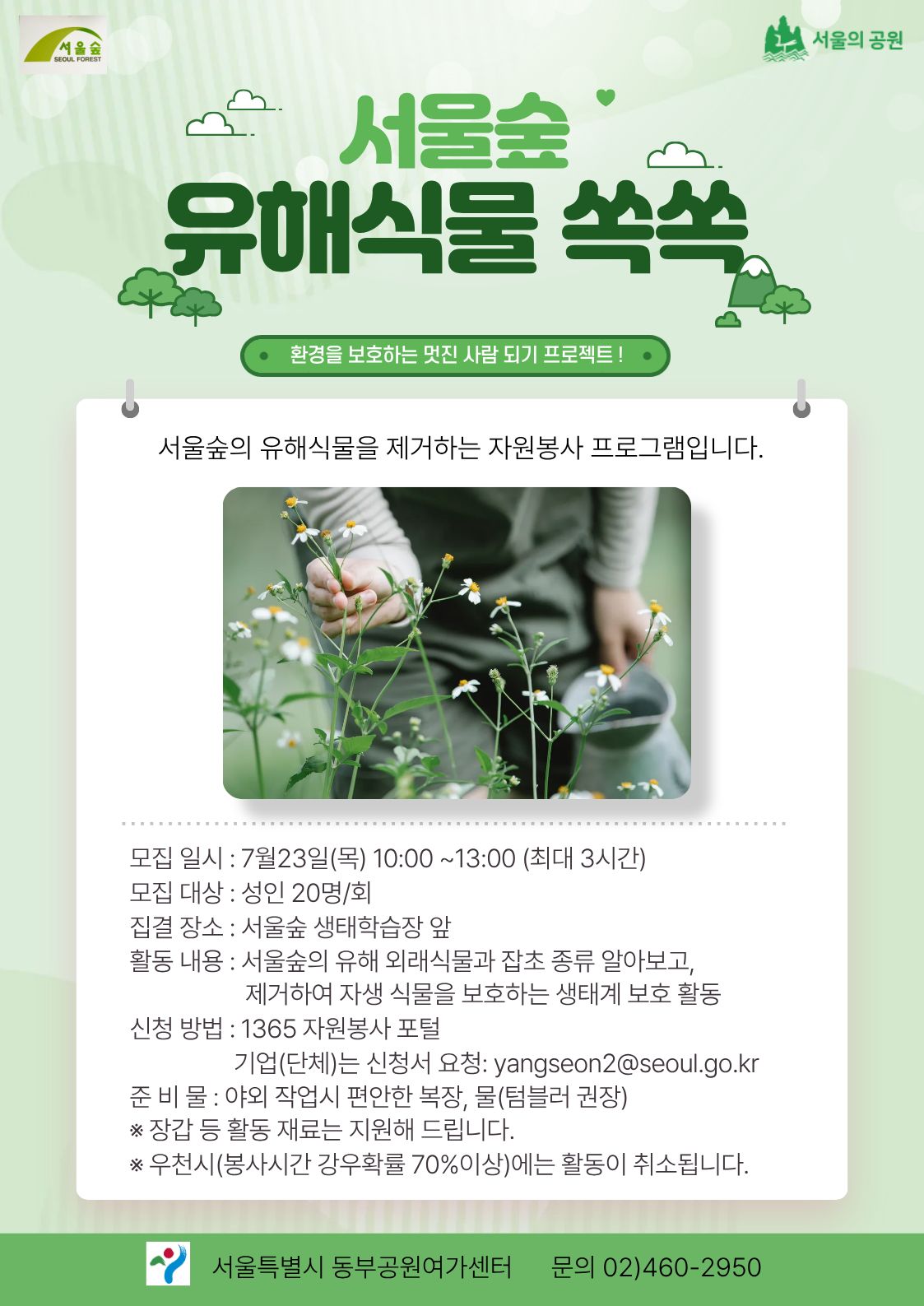 유해식물 7월.jpg