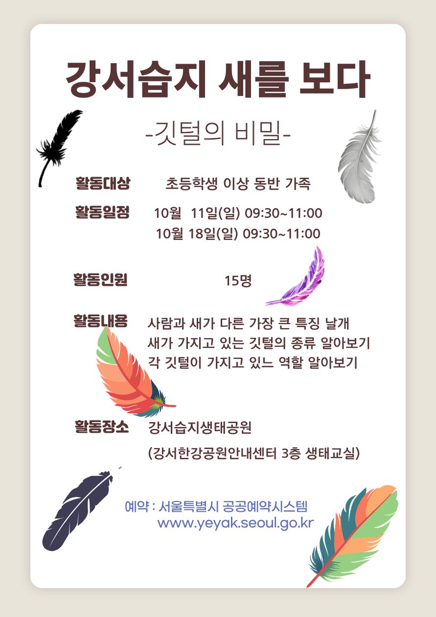 깃털의 비밀.jpg